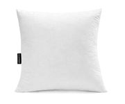 JA COMFORTS 28×28 Premium Goose Down Feather Throw Pillow Inserts(Set of 1)-5% Down Filling,High Filling Weight,250 TC Cotton Cover, Square, White