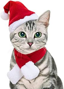 NAMSAN Cat