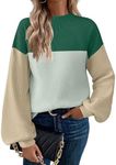 Zeagoo Sweaters for Women Pullover Turtleneck 2024 Fashion Lantern Long Sleeve Ribbed Knit Sweater Tops Blue Green