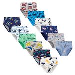 LeQeZe Boys Underwear Dinosaur Toddler Briefs 12 Pack Pure Cotton Kids Underpants 3-4 Years (Boys Briefs 01,Manufacturer Label 110)