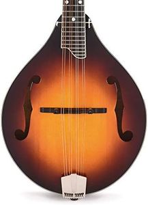 Eastman Spruce/Maple A-Style F-Holes Classic Sunburst