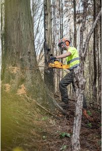DEWALT 54V Cordless Chainsaw, 50cm Bar – Powerful Electric Saw