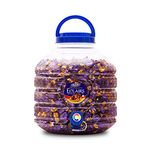 MyFruit Eclairs Chocolate Jar Eclairs Toffee Jar 1000 pieces in Eclairs Toffee 5 kg Jar Eclairs Candy | For Diwali Chocolates Ganesh Chaturthi Christmas Anniversary | For All Festivals