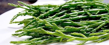 Samphire/Salicornia (100g x2) Naturally Salty Grown to be tender and succulent, ideal with fish. it's delicious and unique. Ready to eat.