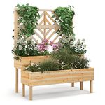 COSTWAY 2-Tier Raised Garden Bed with Trellis, Wooden Elevated Planter Box with Drainage Holes for Climbing Plants Vines, Fruit Vegetable Flower Pot Container for Patio Balcony Yard (Natural)