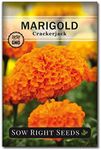 Sow Right Seeds Crackerjack Marigol