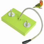 Heating Bird Perch Platform, 5W 12V Electric Heated Bird Perch for Birds, Parrots, Hamsters, Chinchillas, Thermostatic Bird Warmer for Cage, Constant Temp Heater Stand Board