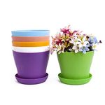 TSKDKIT 20cm Flower Pots and Saucers 6pcs Extra Large Plastic Plant Pots with Drip Trays for Indoor Outdoor Bonsai Plant, Colour Seeding Pots Garden Flower Container for Home Office Decoration(8in)