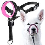 GoodBoy Dog Head Halter with Safety Strap - Stops Heavy Pulling On The Leash - Padded Headcollar for Small Medium and Large Dog Sizes - Head Collar Training Guide Included (Size 3, Pink)