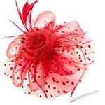 WATAME Fascinators for Women Girl Flower Mesh Feathers Tea Party Hat Kentucky Derby Hats Veil Headband With Hair Clip (Red)