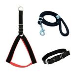 VIPCOLLECTION No Pull -Step In Soft Padded Dog Harness And Collar Leash For Small Medium Large Dogs-Escape Proof Adjustable Combo For Walking Training Hiking Outdoor (Medium, Black-Red),50 cm