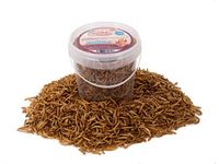 Chubby Mealworms Dried Mealworms, 1 Litre