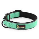 Plutus Pet Tactical Dog Collar, Reflective, Adjustable Heavy Duty Dog Collar, Soft Padded and Comfortable, for Small Medium and Large Dogs (Teal, M)