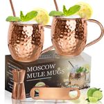 LINALL Moscow Mule Copper Mugs- Set of 2 Copper Plated Stainless Steel Mug 18oz, for Chilled Drinks (2 pcs)