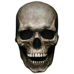 UJEAVETTE® Full Head Skull Mask with Movable Jaw Latex Headgear Light Color