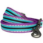 Blueberry Pet 3M Reflective Multi-Colored Stripe Dog Leash with Soft & Comfortable Handle, 4 ft x 1", Violet & Celeste, Large, Leashes for Dogs