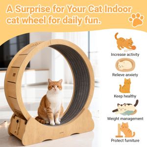 XL Cat Exercise Wheel – 43.3" Large Indoor Running Toy
