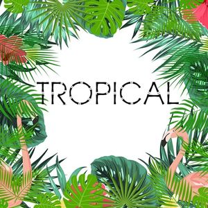 Tropical W