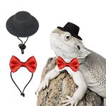 Bearded Dragon Clothes Costume Adjustable Hat and Bowtie Handmade Small Animals Halloween Clothes for Lizard Chameleon Juvenile Iguana