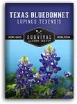 Texas Bluebonnet Seed for Planting 