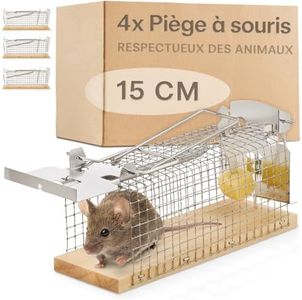Praknu Piège à Souris Vivant - 4 Pièces - Respectueux des Animaux - Réutilisable - Fabriqué à Partir de Bois FSC® Écologique - Prêt à l'emplo