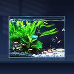 LAQUAL 3 Gallon Ultra Clear Glass F