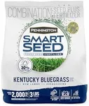 Pennington Smart Seed Kentucky Blue