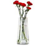 Qiccijoo Clear Glass Vase, Cylinder Flower Vase for Floral Arrangements, Weddings, Home Decor or Office,21.5cm/8.5in Tall,7cm/2.8in Opening(Clear)