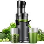 GDOR Juicer Machines for Whole Fruit and Vegetable,89MM Diameter Slow Masticating Juicer, Powerful Cold Press Juicer with Two-layer Filter,High Juice Yield, BPA-Free, Brush Included,Black