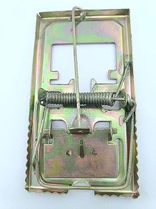 advancedestore Piece of Rat, Mouse Snap Traps/Killers/Rat Trap/Rat Killer-(Pack of 1)