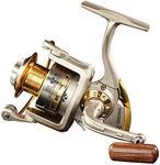 Diwa Spinning Fishing Reels for Sal