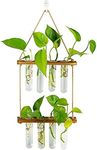 Hanging Plant Propagation Stations Tubes, Glasseam Wall Glass Planter Terrarium with Wooden Stand Propogation Station Vases Test Tubes for Plants Propagate Hydroponics Air Flower, 2 Tier