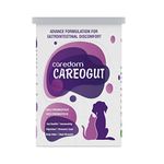 CAREDOM CAREOGUT Prebiotics & Probiotics for Gut Health | Blend with Digestive Enzymes | Prebiotic and Probiotic Supplement for Dogs & Cats | Immunity Booster | Gut Health Supplements | 100gram