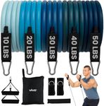 Vive Resistance Band Set (11 PCS) (With App) - Versatile Exercise Tubes with Wide Handles, Workout Poster, & Door Anchor - Adjustable 10-50 LB Tension for Full Body Home Fitness & Rehab -for Men/Women
