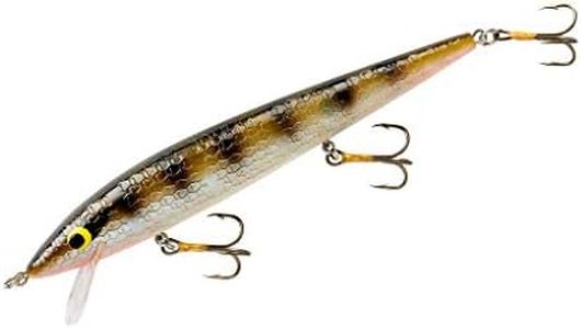 Smithwick Lures Floating Rattlin' Rogue Minnow-Style Jerkbait Crankbait Fishing Lure, Freshwater Fishing Gear and Accessories, 4 1/2", 1/3 oz, Lerch