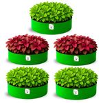 ORGANIC BAZAR 24x9 Leafy Grow Bags, Premium HDPE 260 GSM Green Plant Bags for Terrace Garden (Pack of 5)