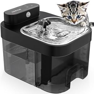HAPAW Cat