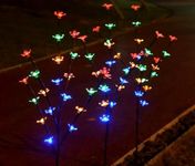 GIGALUMI GL-901 20 LED Solar Flower Light BIS Approved Water Resistant Outdoor Landscape Cherry Blossom Lamp Garden Decorative with Battery & Panel for Lawn Pathway (Pack of 1, Multicolour)