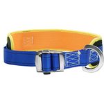 Aoneky Safety Work Belt - Climbing Body Belt with Hip Pad and Side D-Ring Rock Mountaineering - Fall Arrest Harnesses Safety Equipment (blue & yellow)