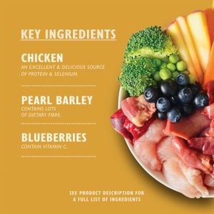 Lily's Kitchen Adult Dog Food Multipack – Assorted Wet Meals