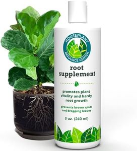 Houseplant
