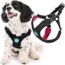 Gooby Escape Free Sport Harness - Black, Large - No Choke Step-in Patented Neoprene Small Dog Harness with Four-Point Adjustment - Perfect on The Go Dog Harness for Medium Dogs No Pull and Small Dogs