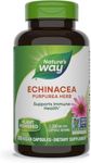 Nature's Way Echinacea Purpurea Herb, Immune Support*, 1,200 mg per 3- Capsule Serving, Non-GMO Project Verified, Vegan, 180 Capsules (Packaging May Vary)