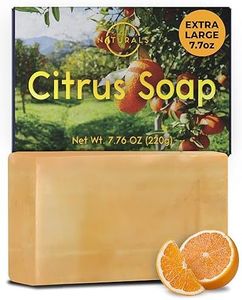 O Naturals Exfoliating Soap Bar - Citrus Exfoliating Bar Soap, All Natural Face Soap, Mens Soap Bar Soap For Men - Soap for Men Face Soap Bar Mens Bar Soap with Apricot Kernels Moisturizing Men Soap