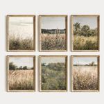 Vintage Botanical Wall Art Set of 6 Wildflower Wall Decor Landscape Field Canvas Wall Art Painting Farmhouse Prints Vintage Landscape Art Botanical Pictures for Room Bathroom 8x10 Inch Unframed