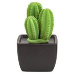 (Black) - Easy_company Ceramic fragrance diffuser essential oil diffuser for aromatherapy and decorate your place.Tri Cactus(Black vase)