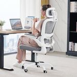 DROGO Premium Ergonomic Office Chair for Work from Home, High Back Computer Chair with Adjustable Seat, Lumbar Support & Headrest, Flip-up Armrest & Recline | Mesh Chair for Office/Home (Grey)