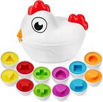 Egg Toys & Chicken Toy for Toddles | Fine Motor Skills Matching Eggs – Best Shape Sorter Egg Toy for Toddler | Great Gifts for 18 Month Old