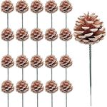 20Pcs 2 Inch Snow Tipped Christmas Natural Pine Cones, Snowy Pine Cones with 5 Inch Green Pick, Pine Cone Sticks for Craft Garland Xmas Tree Decorations Wreath Ornaments Home Party Holiday Decor