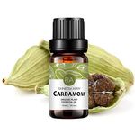 Cardamom Essential Oil 100% Pure Oganic Plant Natrual Cardamom Oil for Diffuser Aromatherapy Message Skin Care Sleep - 10ML